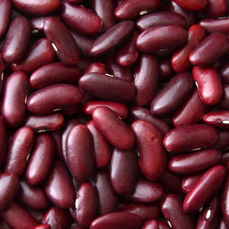 Mitram - Dark Red Kidney Beans - 4Lb